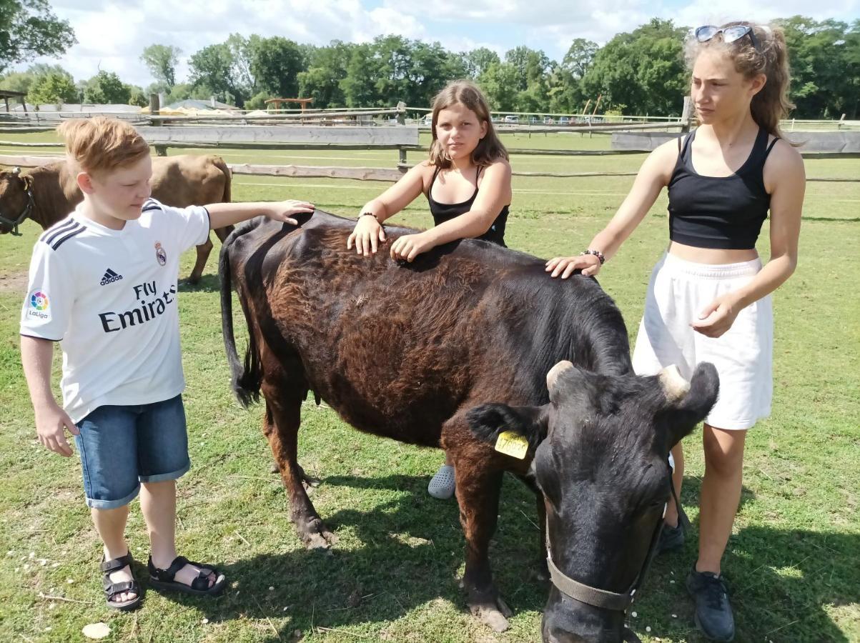 Willa Zoopark Zelcin Mělník Zewnętrze zdjęcie