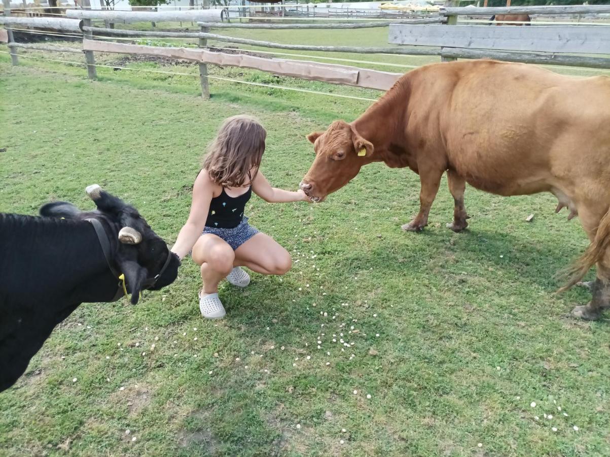 Willa Zoopark Zelcin Mělník Zewnętrze zdjęcie