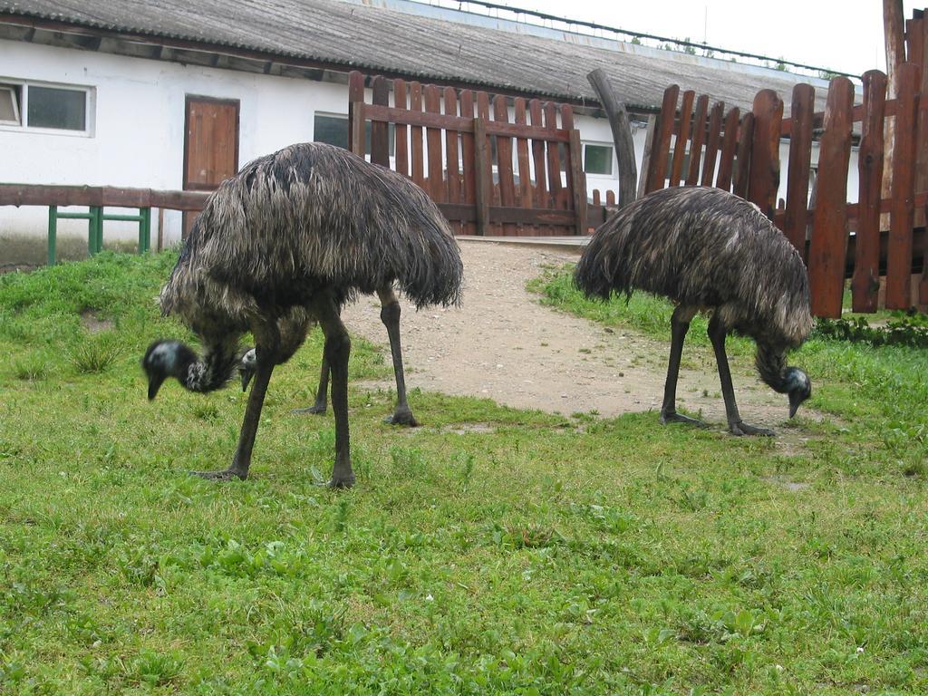Willa Zoopark Zelcin Mělník Zewnętrze zdjęcie