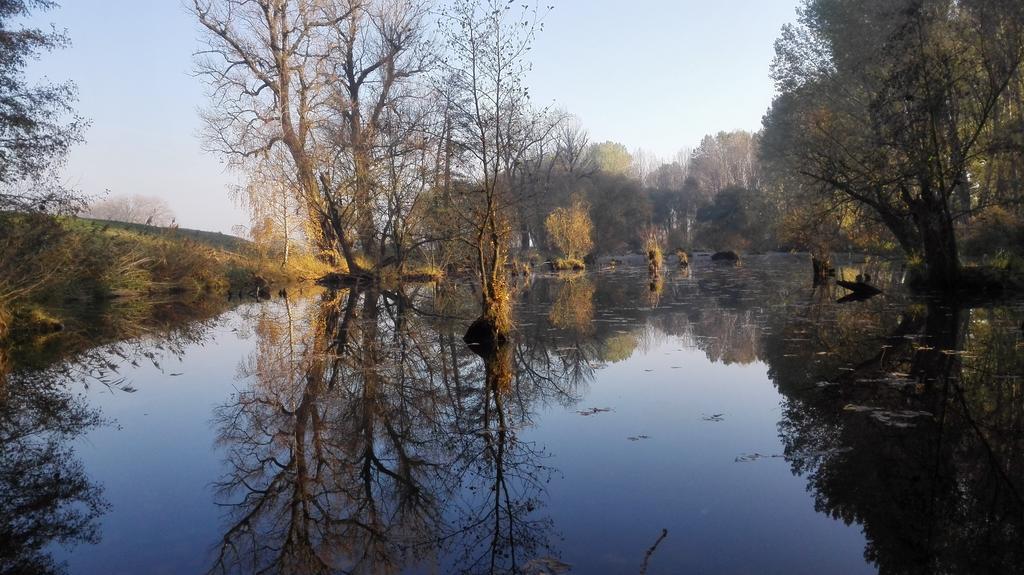 Willa Zoopark Zelcin Mělník Zewnętrze zdjęcie