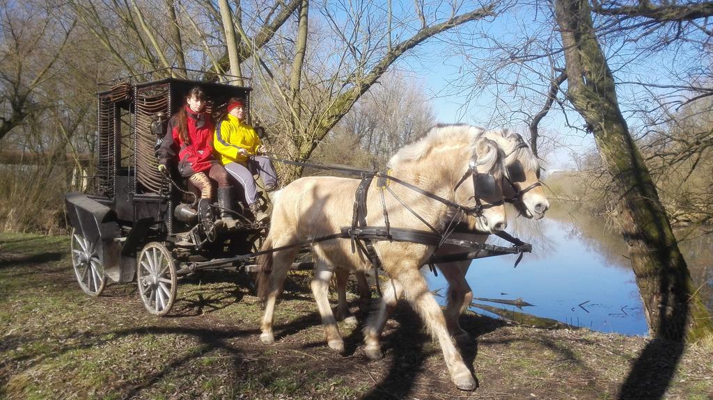 Willa Zoopark Zelcin Mělník Zewnętrze zdjęcie