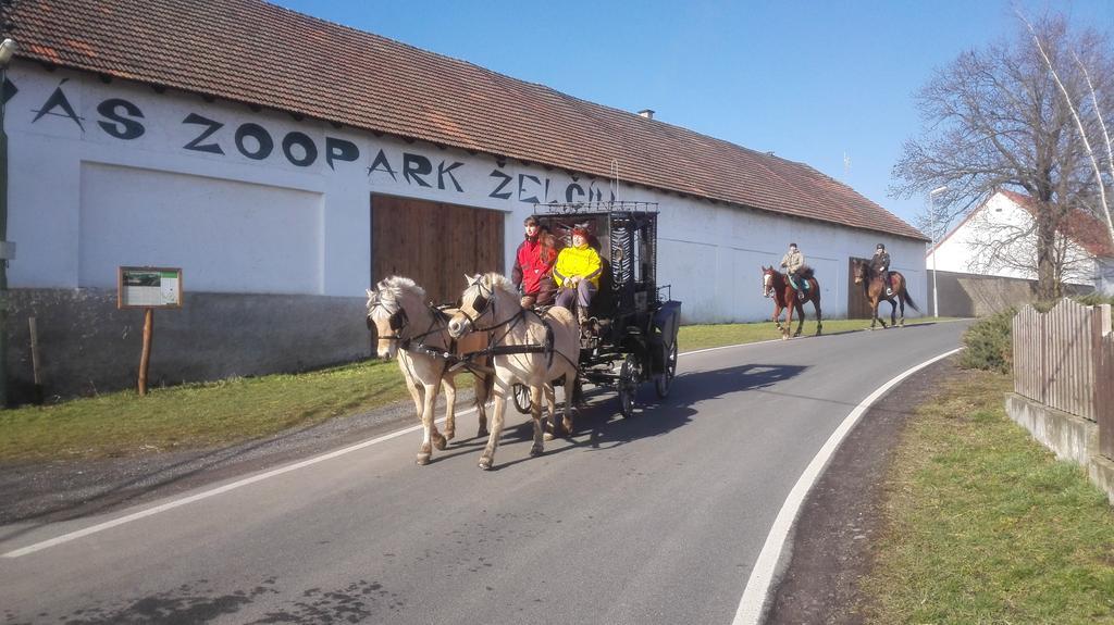 Willa Zoopark Zelcin Mělník Zewnętrze zdjęcie
