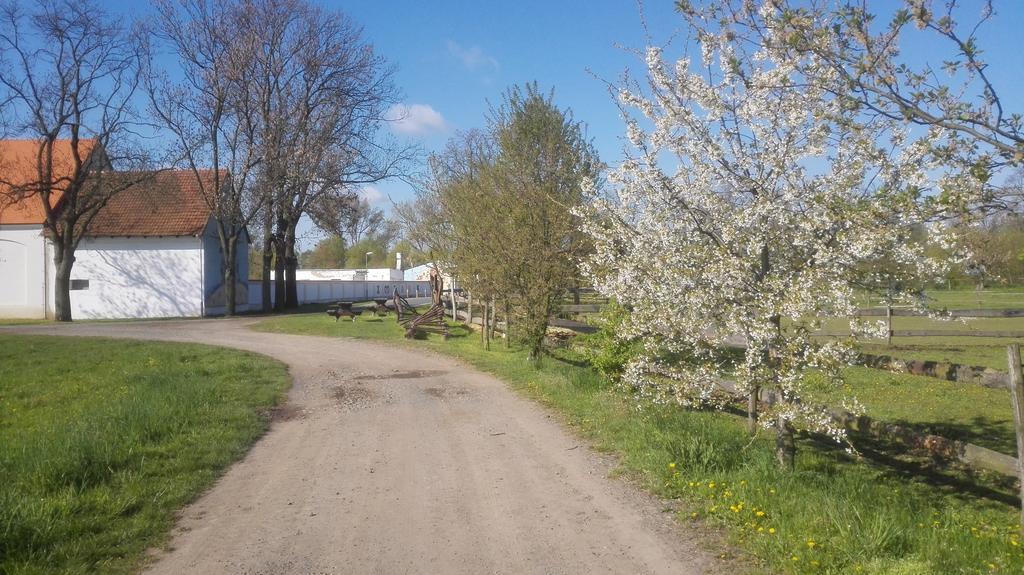 Willa Zoopark Zelcin Mělník Zewnętrze zdjęcie