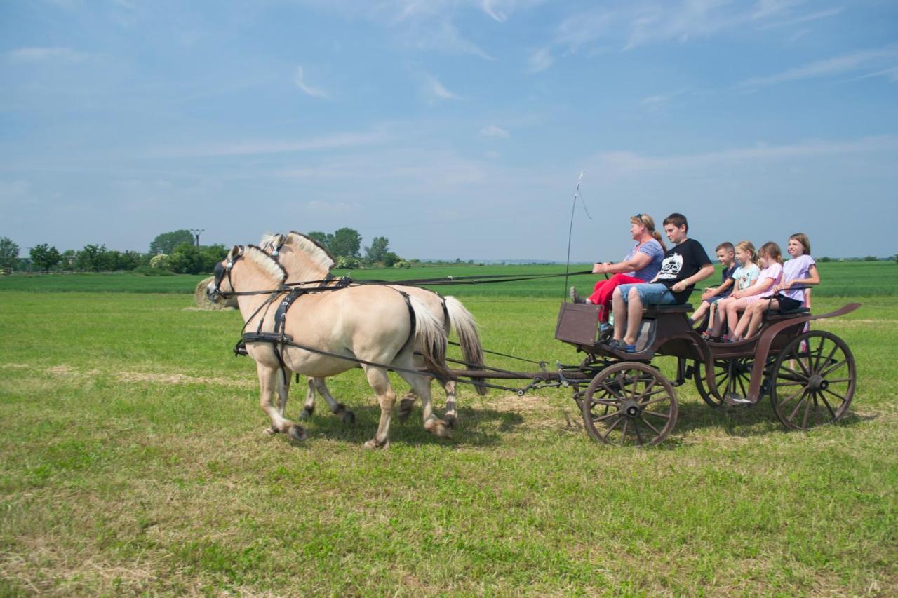 Willa Zoopark Zelcin Mělník Zewnętrze zdjęcie